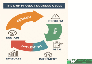DNP Project Writing Cycle